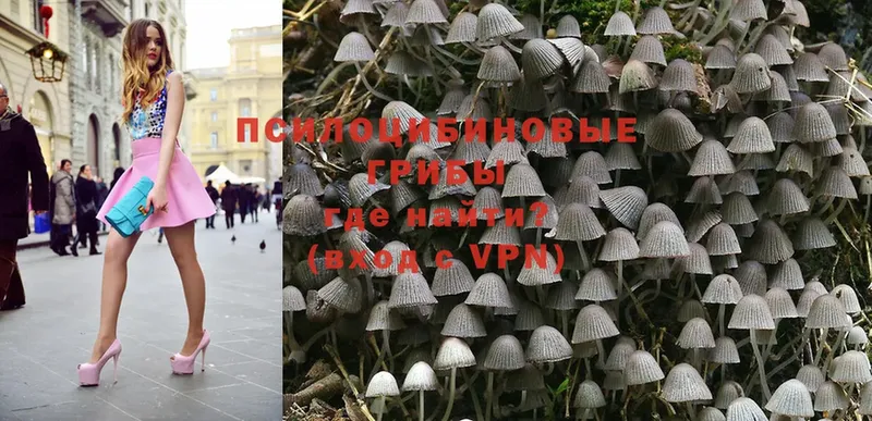 Галлюциногенные грибы Magic Shrooms  Западная Двина 